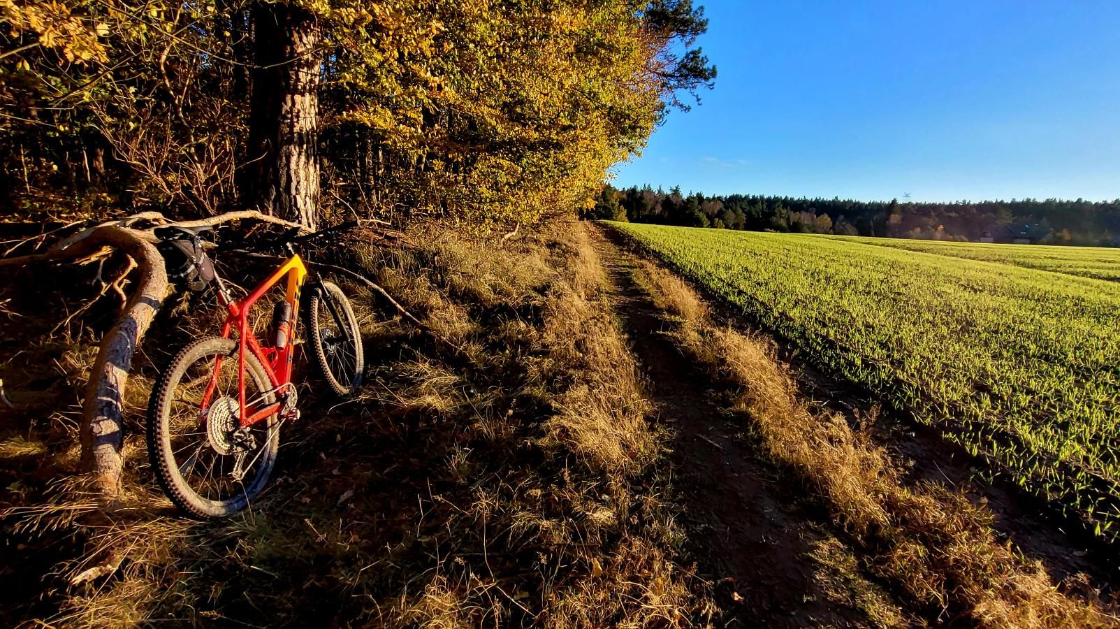 Zdjęcie nr 4 z trasy rowerowej Czy Trek Procaliber 9.5 to król trójmiejskich lasów? 🌲 Jezioro Otomińskie MTB, 96 m n.p.m., km 27.8. Nakręcone Rowerem, data: 01.11.2023, 15:09.