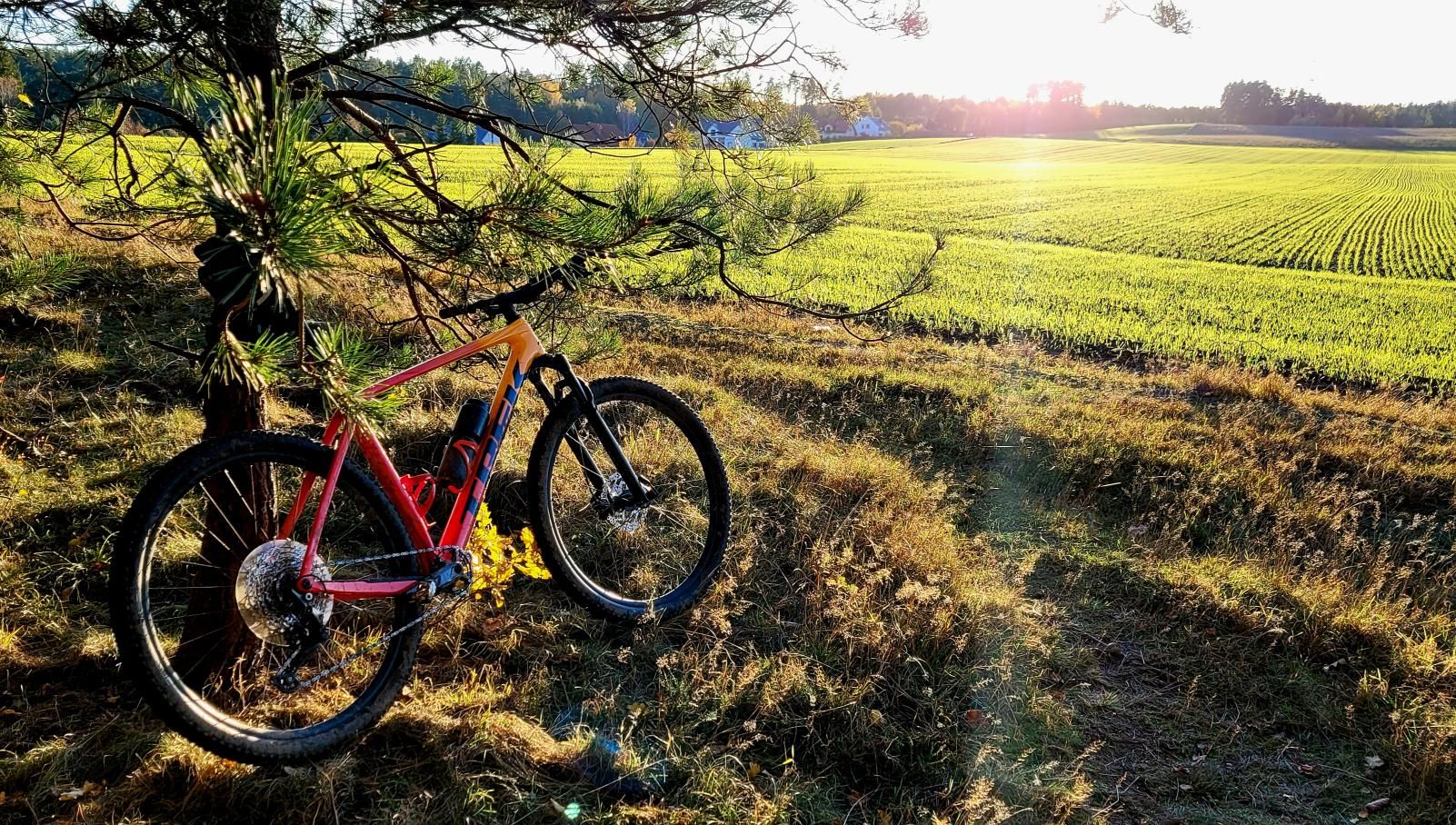 Zdjęcie nr 3 z trasy rowerowej Czy Trek Procaliber 9.5 to król trójmiejskich lasów? 🌲 Jezioro Otomińskie MTB, 96 m n.p.m., km 18.5. Nakręcone Rowerem, data: 01.11.2023, 15:06.