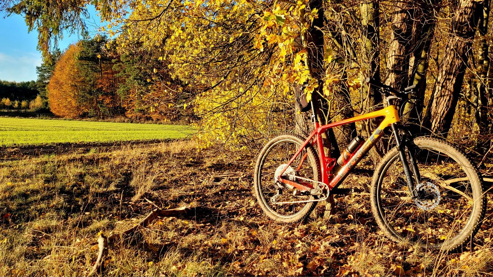 Zdjęcie nr 2 z trasy rowerowej Czy Trek Procaliber 9.5 to król trójmiejskich lasów? 🌲 Jezioro Otomińskie MTB, 96 m n.p.m., km 9.3. Nakręcone Rowerem, data: 01.11.2023, 15:05.