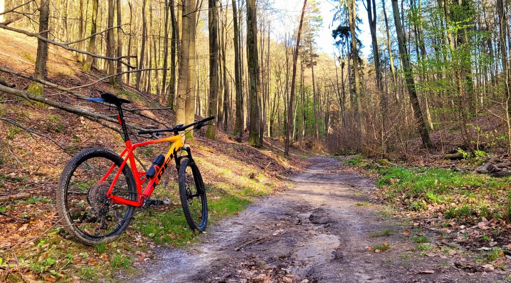 Zdjęcie nr 3 z trasy rowerowej Afternoon MTB Ride, 83 m n.p.m., km 27.6. Nakręcone Rowerem, data: 14.04.2024, 17:39.