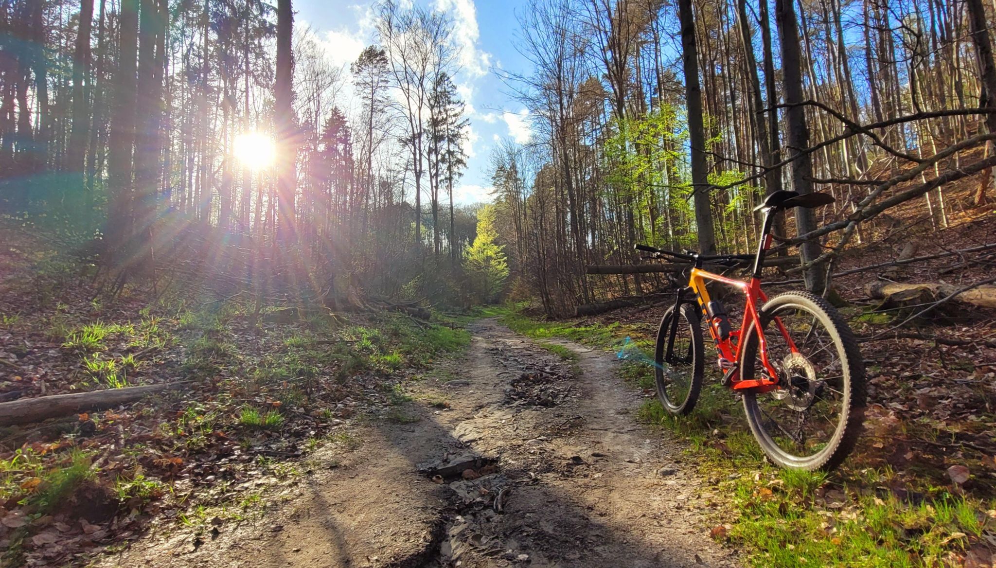 Zdjęcie nr 2 z trasy rowerowej Afternoon MTB Ride, 85 m n.p.m., km 13.8. Nakręcone Rowerem, data: 14.04.2024, 17:36.