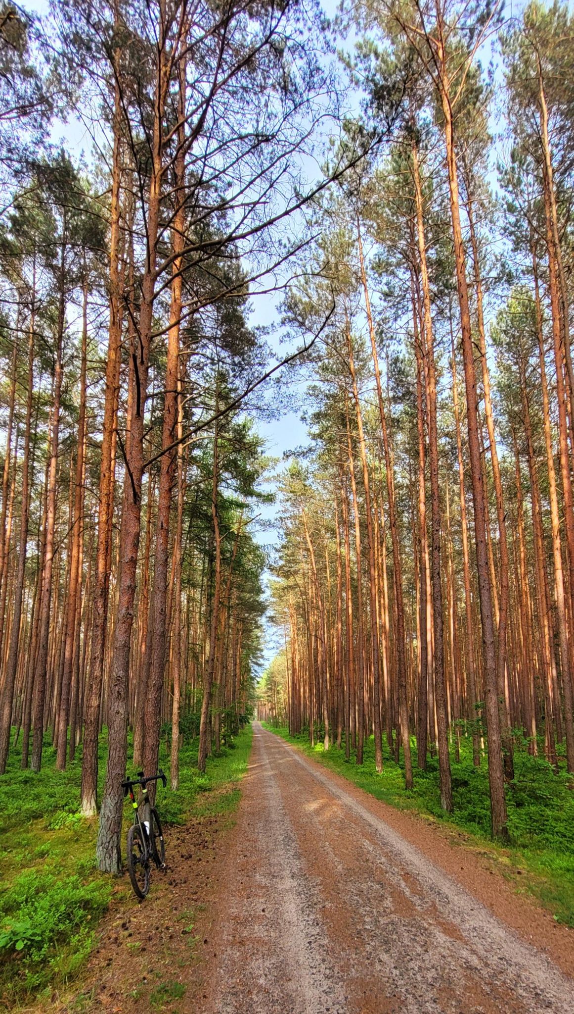 Zdjęcie nr 2 z trasy rowerowej R10 Gravelem Gdańsk - Krynica Morska - Gdańsk, -1 m n.p.m., km 137.4. Nakręcone Rowerem, data: 26.05.2024, 18:15.