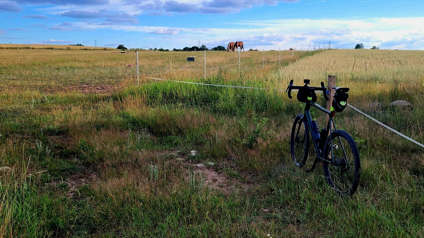 Zdjęcie nr 3 z trasy rowerowej Do Juranda ze Spychowa Gravel Ride, 152 m n.p.m., km 153. Nakręcone Rowerem, data: 01.07.2024, 10:00.
