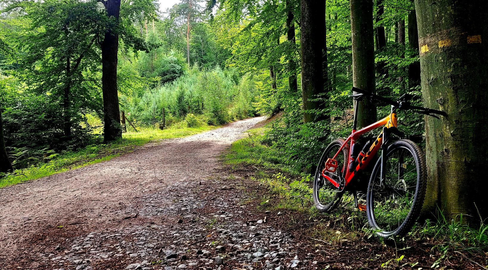 Zdjęcie nr 1 z trasy rowerowej MTB w Trójmiejskim Parku Krajobrazowym - Idealna Trasa na Trek Procaliber, 109 m n.p.m., km 0. Nakręcone Rowerem, data: 02.08.2024, 15:18.
