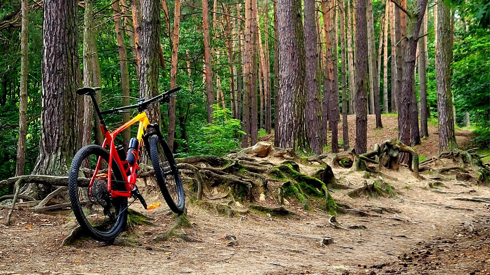 Zdjęcie nr 2 z trasy rowerowej MTB w Trójmiejskim Parku Krajobrazowym - Idealna Trasa na Trek Procaliber, 35 m n.p.m., km 36.8. Nakręcone Rowerem, data: 02.08.2024, 15:38.