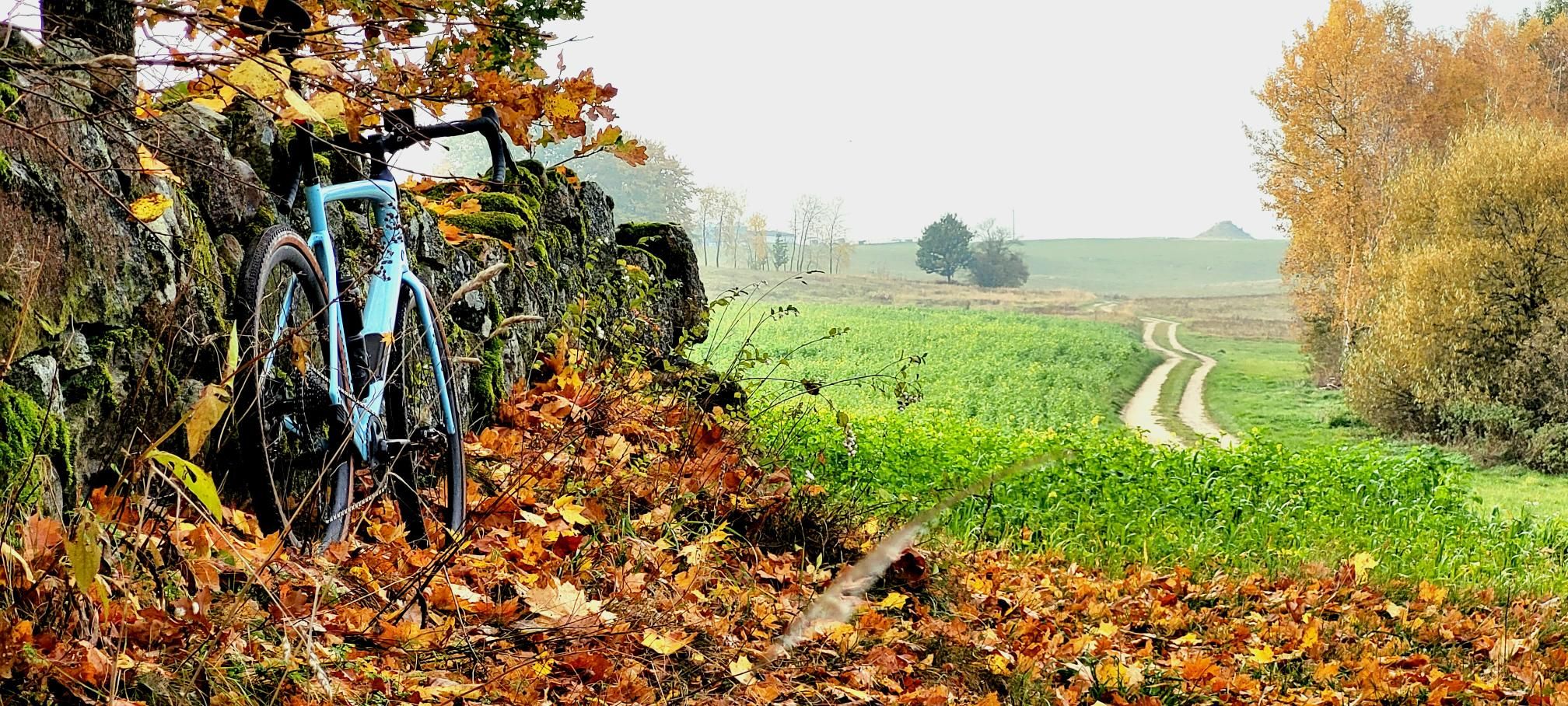 Zdjęcie nr 4 z trasy rowerowej Jesienny Gravel Kaszuby Ride, 168 m n.p.m., km 25.1. Nakręcone Rowerem, data: 26.10.2024, 14:05.