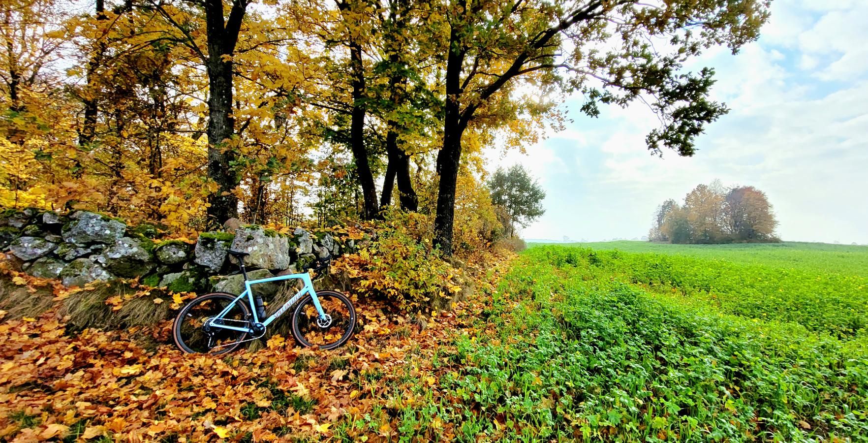 Zdjęcie nr 6 z trasy rowerowej Jesienny Gravel Kaszuby Ride, 229 m n.p.m., km 41.9. Nakręcone Rowerem, data: 26.10.2024, 10:00.