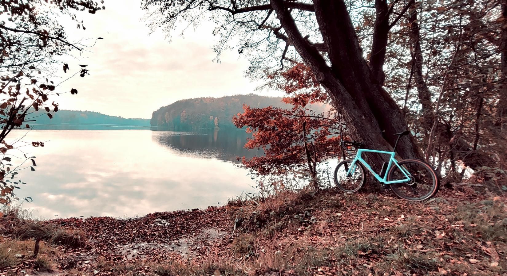 Zdjęcie nr 8 z trasy rowerowej Jesienny Gravel Kaszuby Ride, 225 m n.p.m., km 58.6. Nakręcone Rowerem, data: 26.10.2024, 10:00.