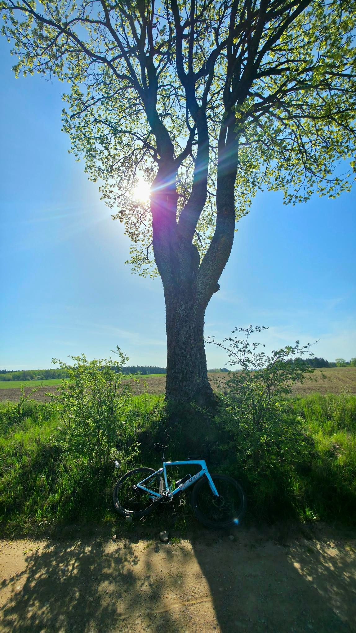Zdjęcie nr 2 z trasy rowerowej Kolej na szutry Warmii i Mazur. Gravelowa pętla z Biskupca przez Dźwierzuty i Targowo na Specialized Diverge, 174 m n.p.m., km 72.6. Nakręcone Rowerem, data: 21.04.2025, 10:05.