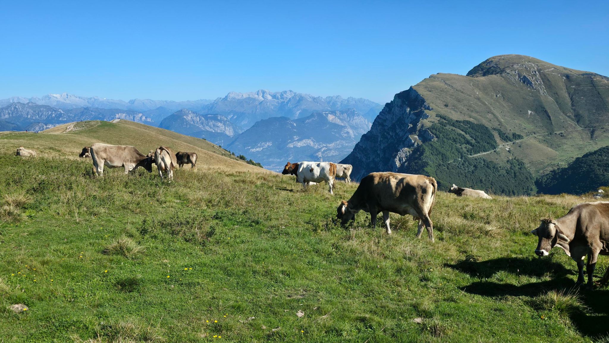Zdjęcie nr 5 z trasy rowerowej Garda 2025 #2: Monte Baldo MTB Red Tour, 1734 m n.p.m., km 25.9. Nakręcone Rowerem, data: 19.09.2025, 10:14.