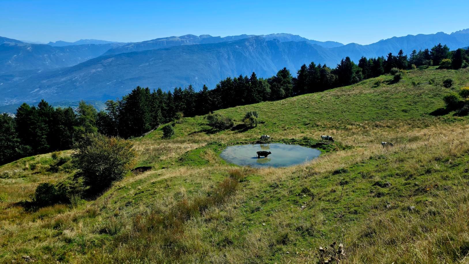 Zdjęcie nr 7 z trasy rowerowej Garda 2025 #2: Monte Baldo MTB Red Tour, 1520 m n.p.m., km 38.8. Nakręcone Rowerem, data: 19.09.2025, 11:28.