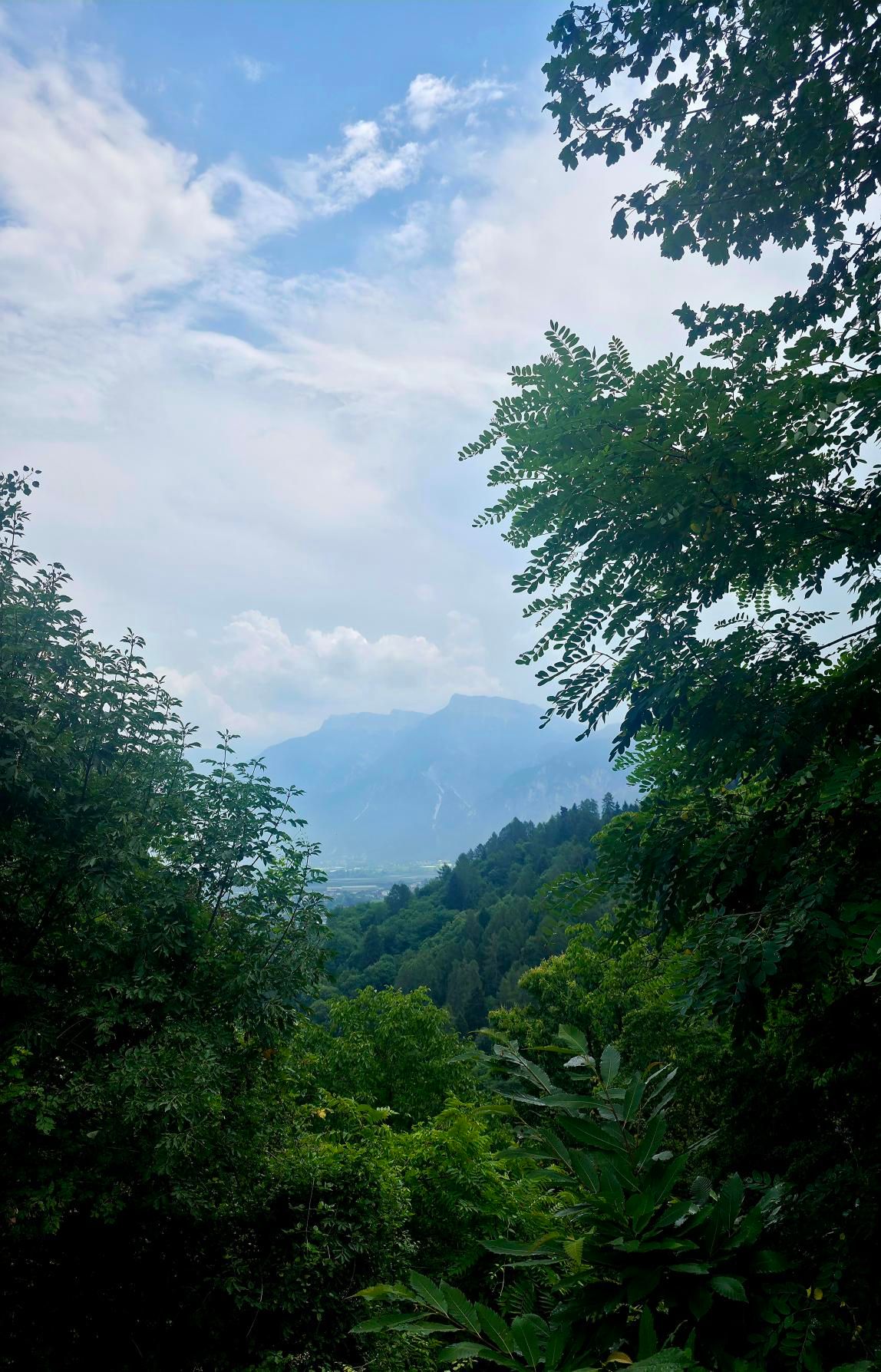 Zdjęcie nr 5 z trasy rowerowej Levico Terme E-MTB, 598 m n.p.m., km 22.8. Nakręcone Rowerem, data: 01.07.2026, 12:48.