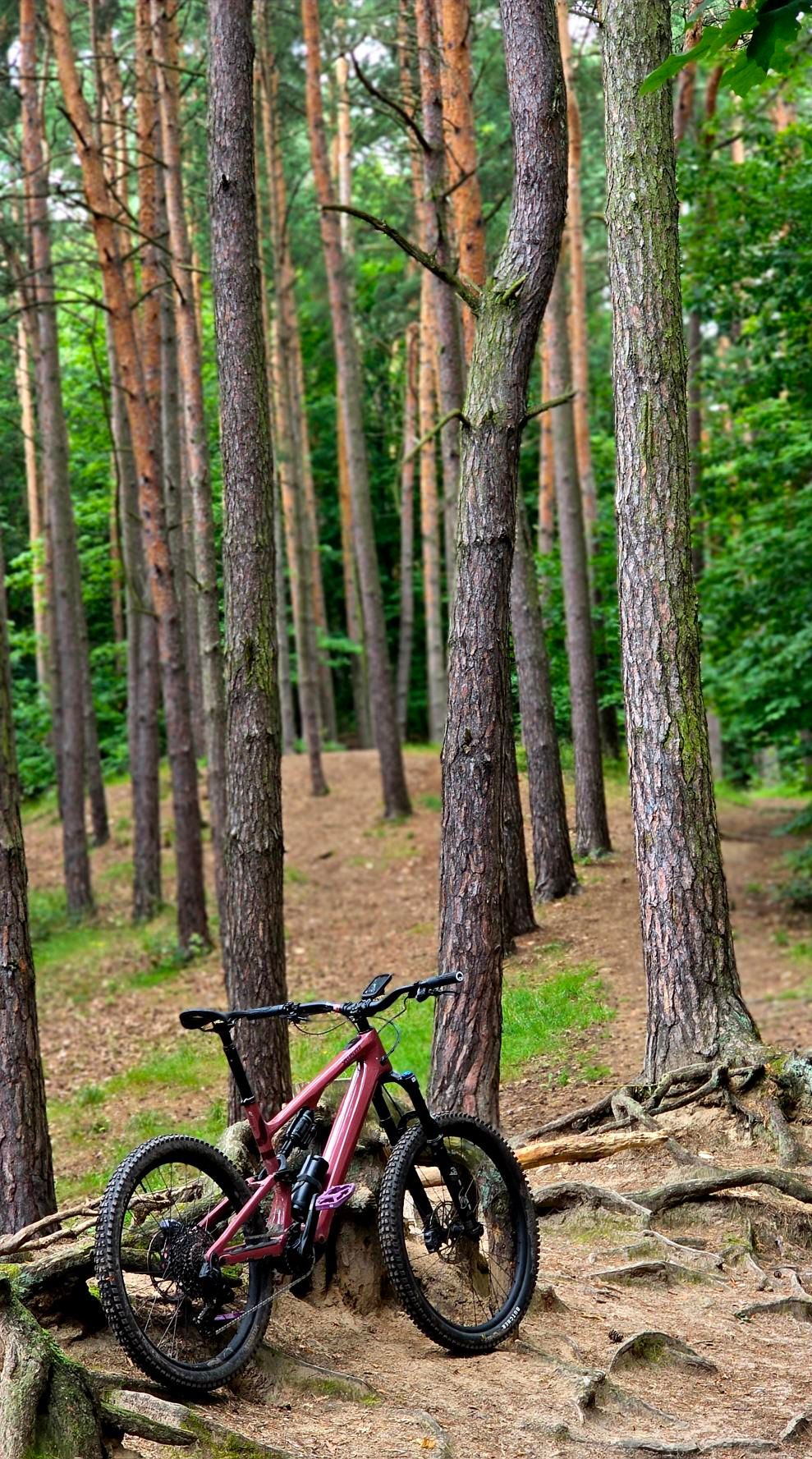 Zdjęcie nr 2 z trasy rowerowej Leśne wąwozy i morenowe grzbiety Gdańska: 40 kilometrów w sercu Trójmiejskiego Parku Krajobrazowego na Specialized Levo SL2, 350 m n.p.m., km 40.1. Nakręcone Rowerem, data: 08.08.2026, 12:02.