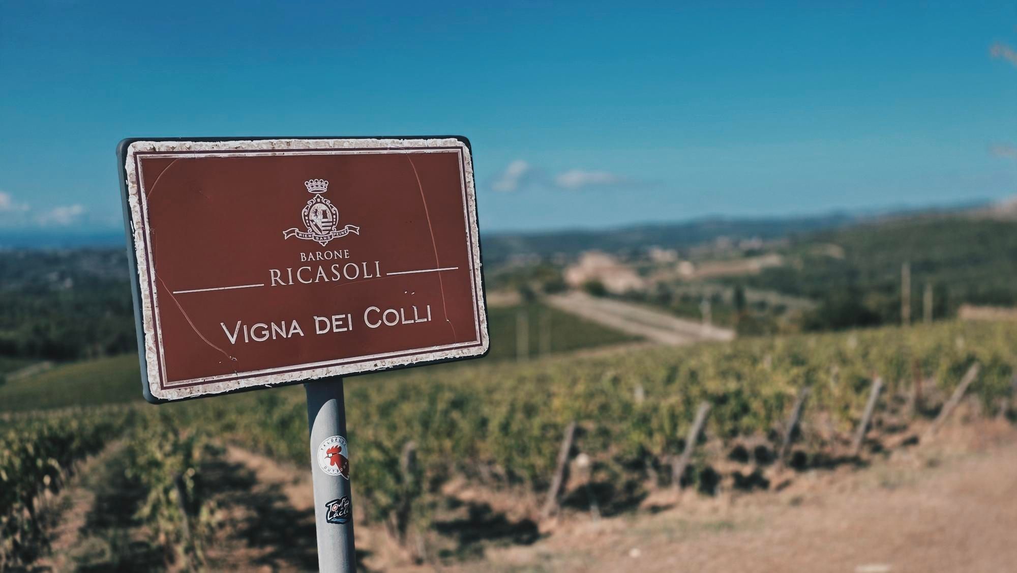 Zdjęcie nr 2 z trasy rowerowej Strade Bianche w Chianti: Śladami L'Eroica na gravelu przez serce toskańskich winnic, 461 m n.p.m., km 20.6. Nakręcone Rowerem, data: 19.09.2026, 10:11.