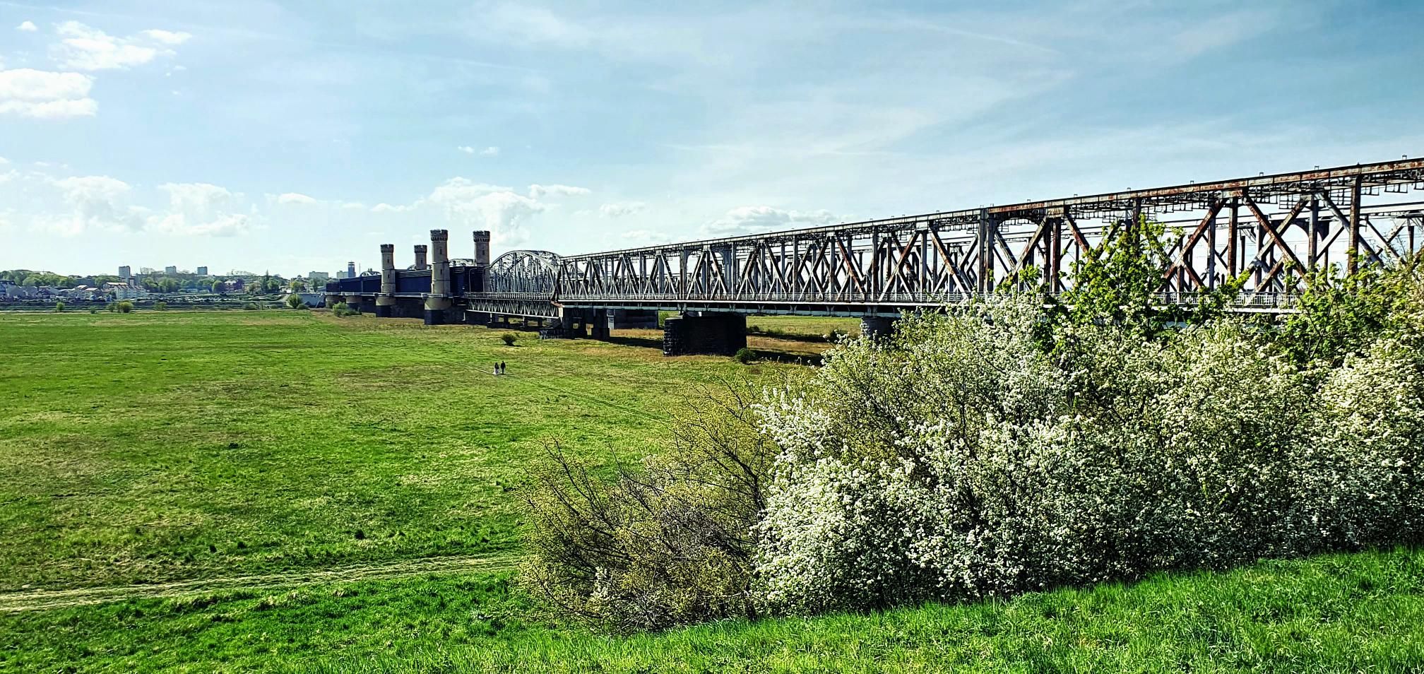 Żuławski horyzont bez końca: 120 kilometrów gravelem z Gdańska do Tczewa