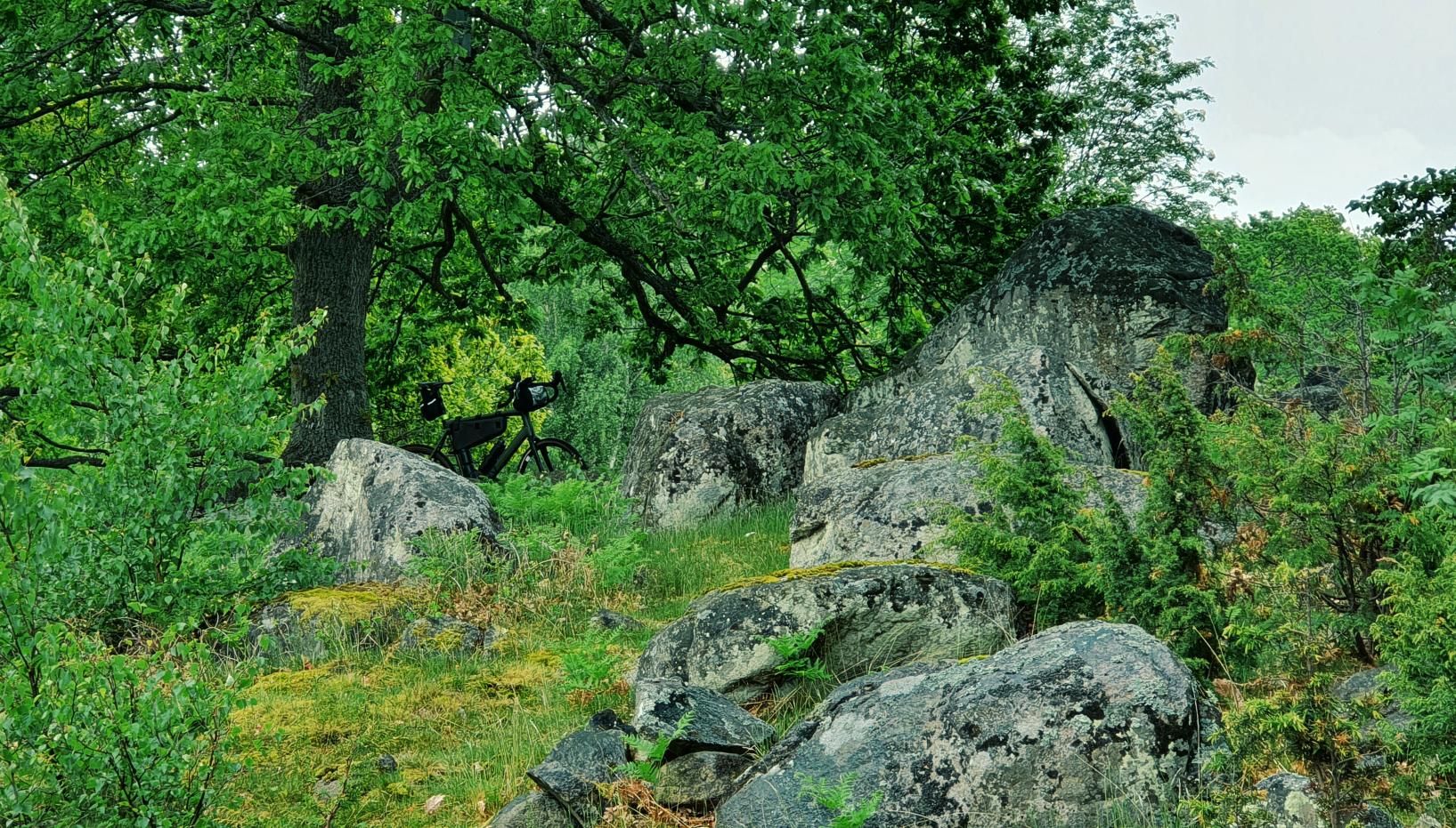 Zdjęcie nr 2 z trasy rowerowej Szwedzki Potop 22, 37 m n.p.m., km 26.7. Nakręcone Rowerem, data: 30.05.2022, 14:44.
