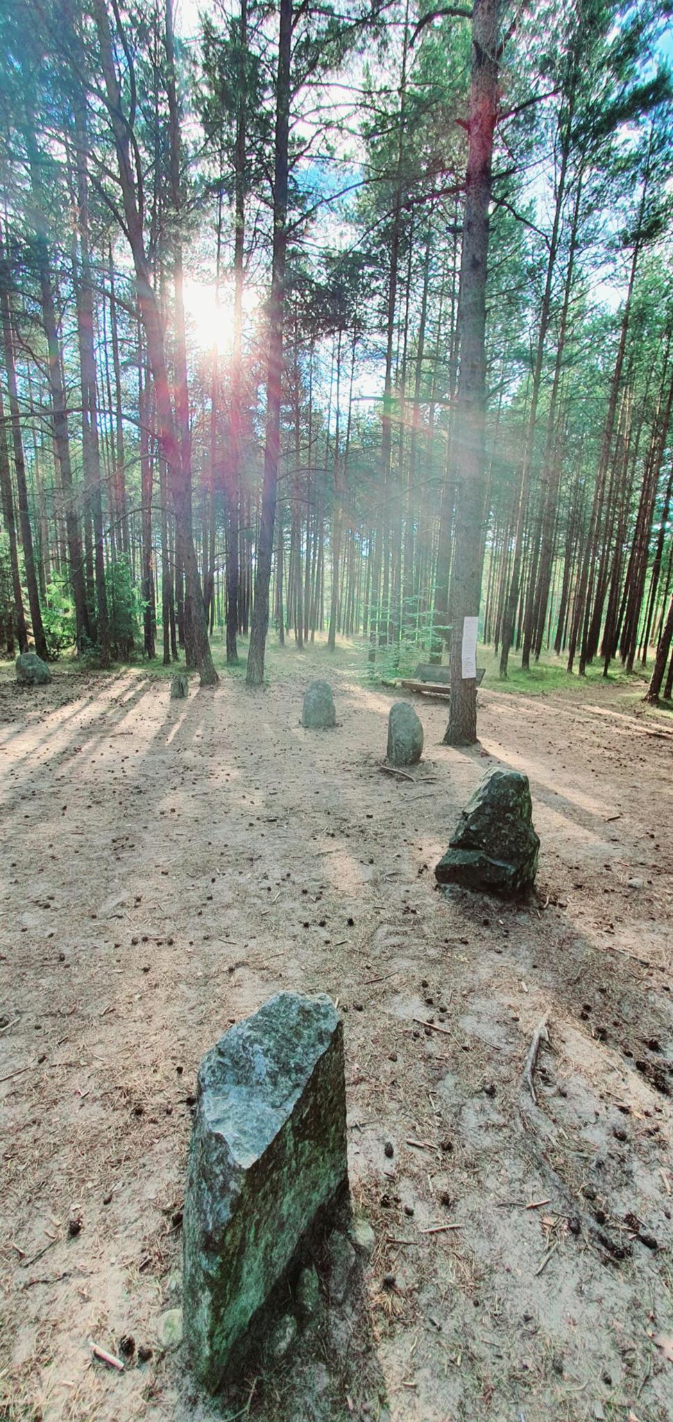 Zdjęcie nr 1 z trasy rowerowej Kamienne Kręgi Węsiory Ride, 178 m n.p.m., km 0. Nakręcone Rowerem, data: 08.08.2022, 17:50.