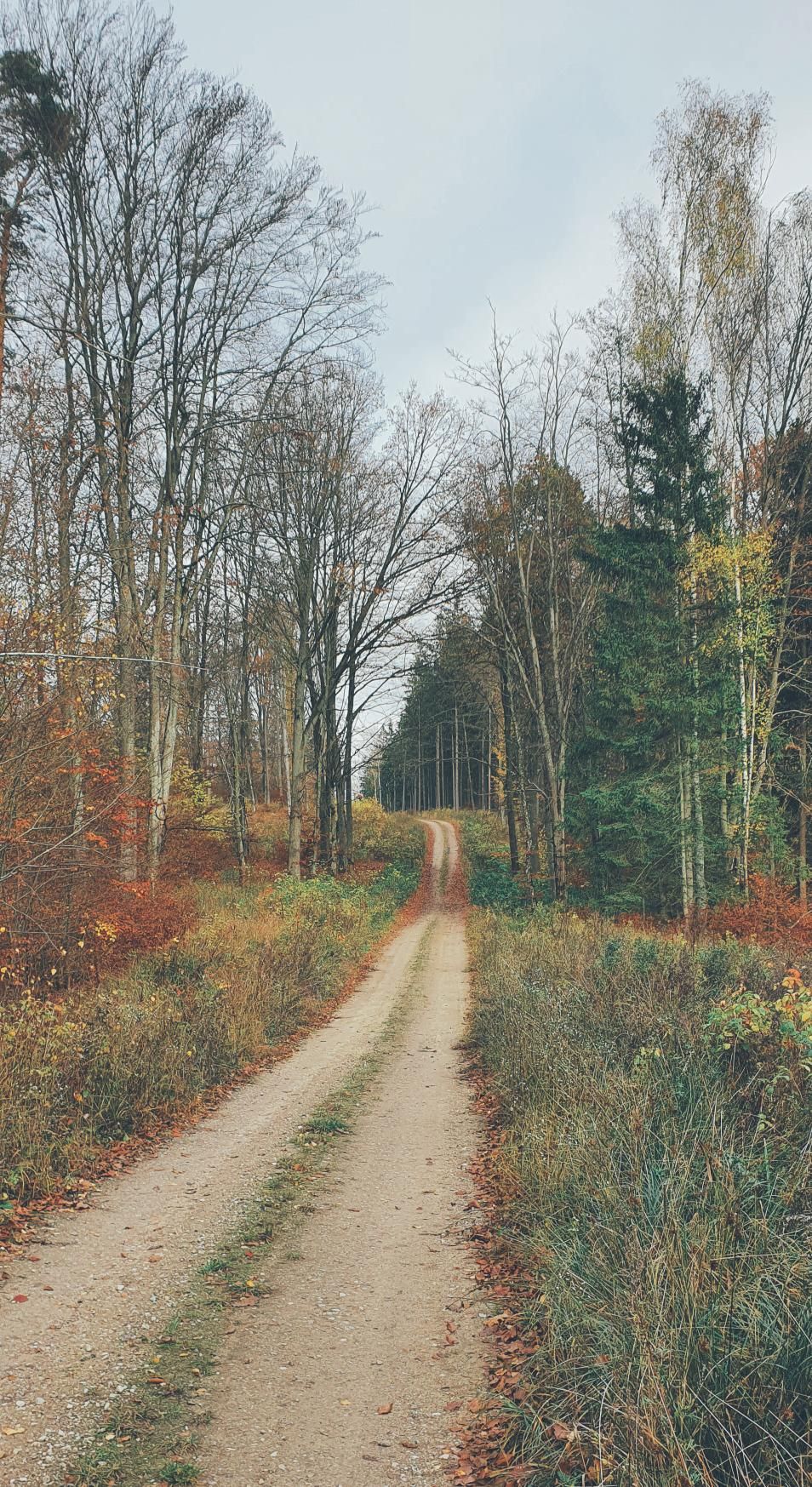Zdjęcie nr 1 z trasy rowerowej Warmińskie gravelki, 124 m n.p.m., km 57.9. Nakręcone Rowerem, data: 31.10.2022, 14:27.