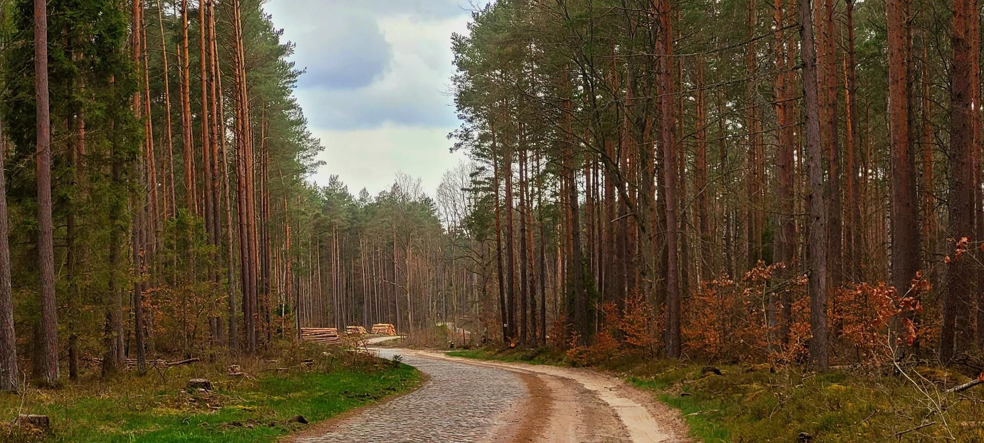 Zdjęcie nr 8 z trasy rowerowej Pod Jelenią Górę Ride - 221m n.p.m., 149 m n.p.m., km 111.5. Nakręcone Rowerem, data: 17.04.2023, 16:12.
