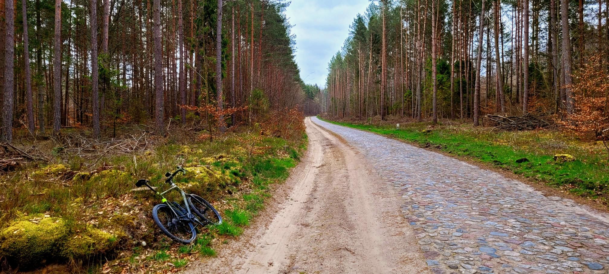 Zdjęcie nr 7 z trasy rowerowej Pod Jelenią Górę Ride - 221m n.p.m., 149 m n.p.m., km 95.6. Nakręcone Rowerem, data: 17.04.2023, 16:11.