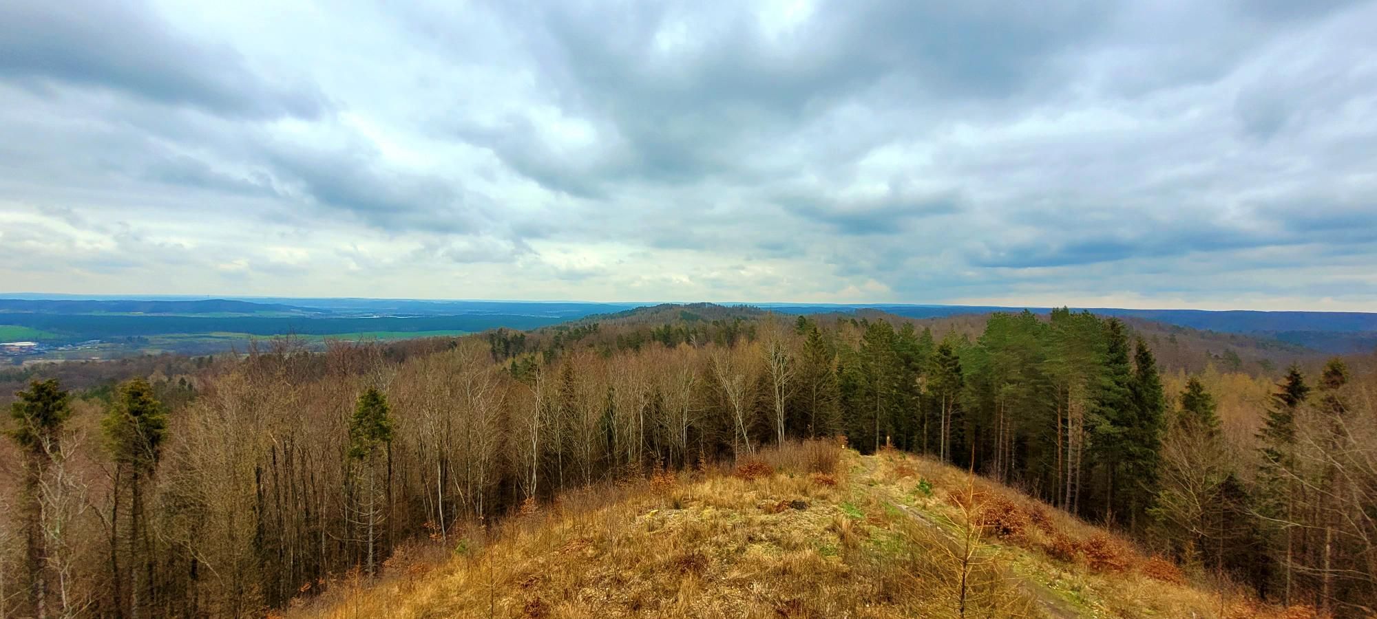 Zdjęcie nr 5 z trasy rowerowej Pod Jelenią Górę Ride - 221m n.p.m., 262 m n.p.m., km 63.7. Nakręcone Rowerem, data: 17.04.2023, 14:34.