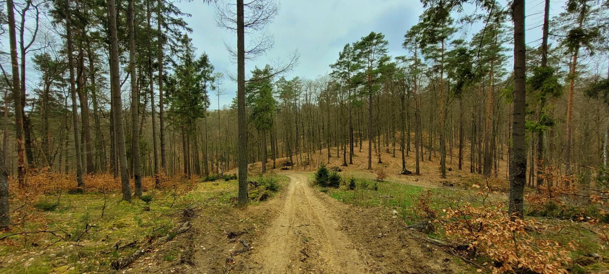 Zdjęcie nr 3 z trasy rowerowej Pod Jelenią Górę Ride - 221m n.p.m., 245 m n.p.m., km 31.9. Nakręcone Rowerem, data: 17.04.2023, 14:11.