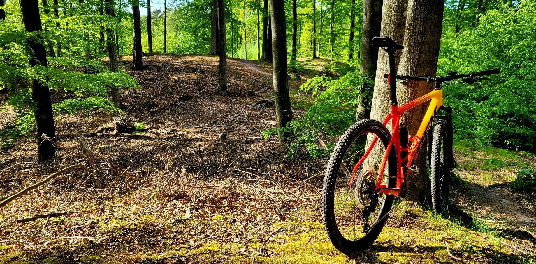 Zdjęcie nr 1 z trasy rowerowej Dynamiczny zjazd MTB w Gdańsku! | Czy Trek Procaliber 9.5 daje radę?, 95 m n.p.m., km 0. Nakręcone Rowerem, data: 18.05.2023, 17:42.
