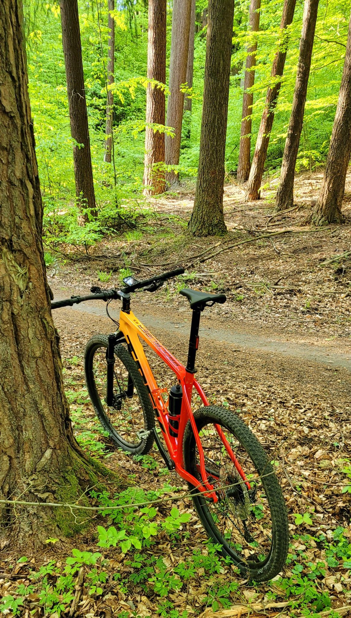 Zdjęcie nr 2 z trasy rowerowej Dynamiczny zjazd MTB w Gdańsku! | Czy Trek Procaliber 9.5 daje radę?, 88 m n.p.m., km 23.6. Nakręcone Rowerem, data: 18.05.2023, 18:09.